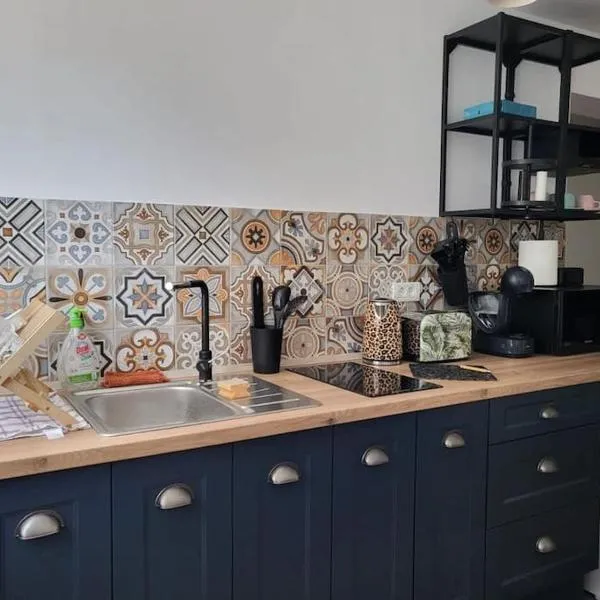 Concordia - apartament lângã Cazino，位于伯伊莱海尔库拉内的酒店