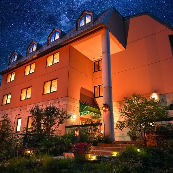斯黛拉百丽酒店，位于Iida的酒店