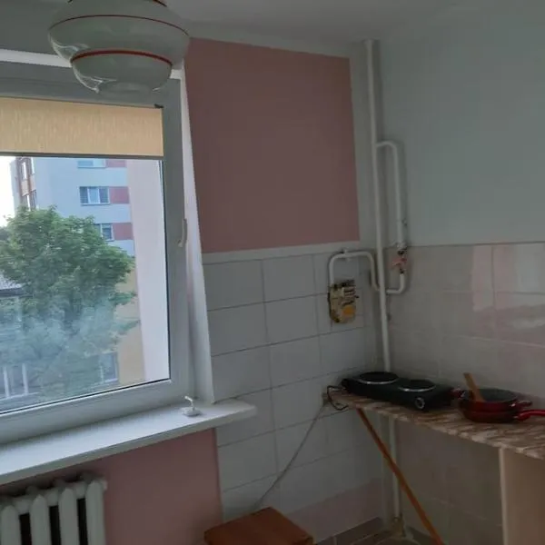 Independent apartment in varena，位于Matuizos的酒店