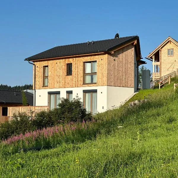 Berglisl - direkt an der Schipiste! Neue Ferienwohnung mit Sauna，位于克利浦托尔的酒店