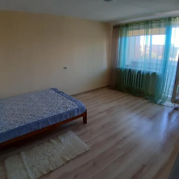 Independent apartment in varena，位于Lynežeris的酒店