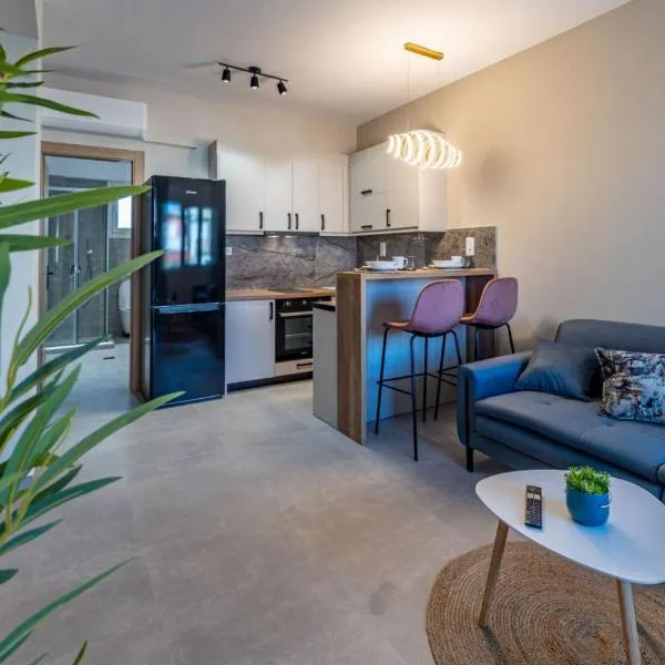 Rigel Apartments 1，位于约阿尼纳的酒店