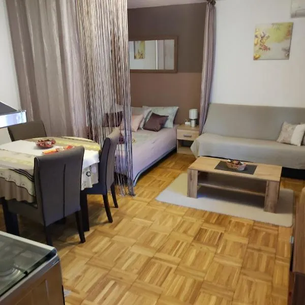 Studio apartman Vuković 4 zvjezdice，位于比佐瓦茨的酒店