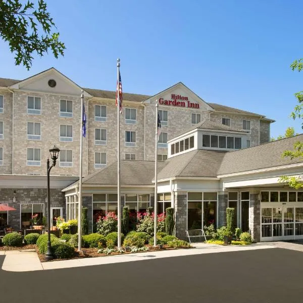 温斯顿塞勒姆/哈内斯购物中心希尔顿花园酒店，位于Lewisville的酒店