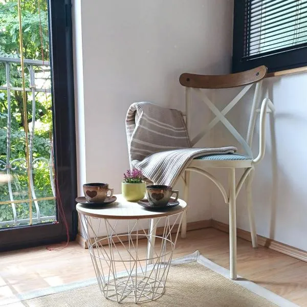 Apartmani Damir，位于萨拉热窝的酒店