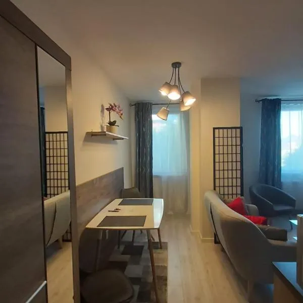 Apartmán CENTRAL，位于Zvolenské Nemce的酒店