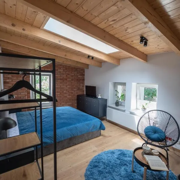 Apartamenty Młyńska 5，位于别尔斯克-比亚拉的酒店
