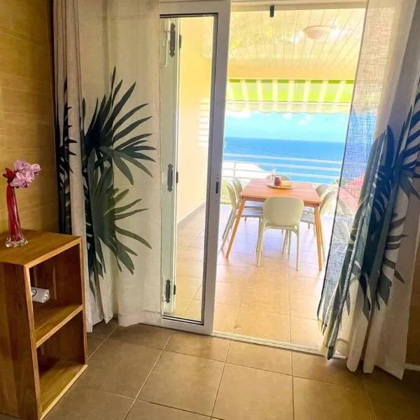 Suite Spacieuse 4 étoiles 77m2 vue mer Les Saintes，位于三河市的酒店