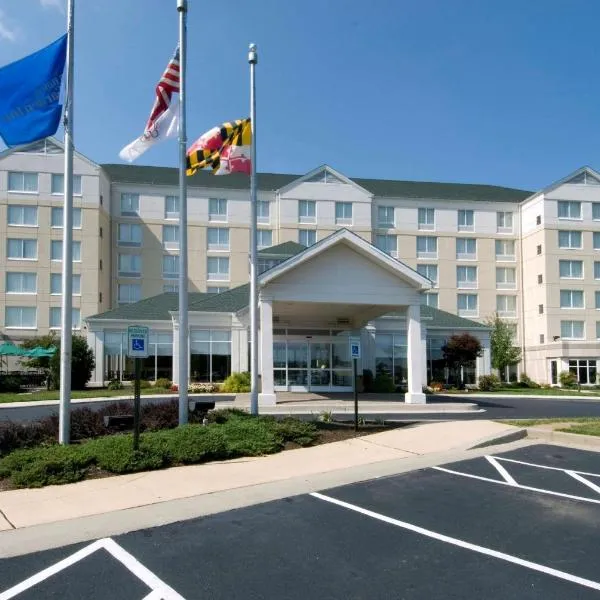 希尔顿奥因斯米尔斯花园酒店（Hilton Garden Inn Owings Mills），位于Stevenson的酒店