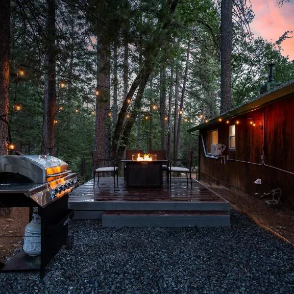 Nature's Nook - Blissful Cabin in the Woods，位于Pollock Pines的酒店