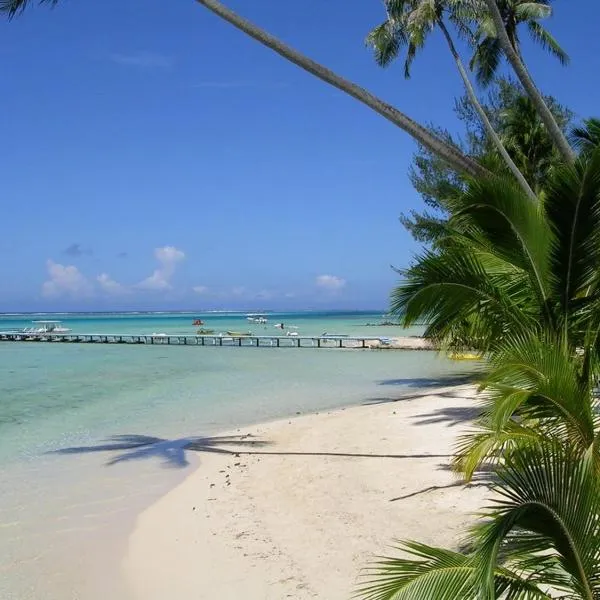 Moorea Pool & Lagoon House，位于莫雷阿的酒店