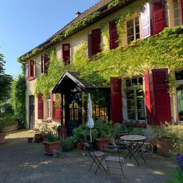 Chambres d'Hôtes Le Felseneck - NOUVEAU PROPRIÉTAIRE - NEW MANAGEMENT，位于Oltingue的酒店