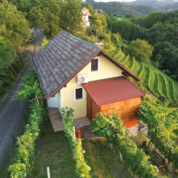 Adorable guesthouse in the middle of vineyards，位于Zgornji Leskovec的酒店