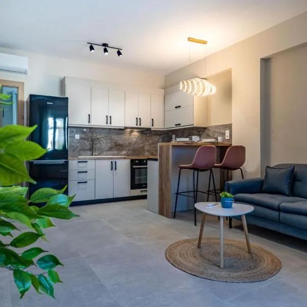 Rigel Apartments 2，位于约阿尼纳的酒店