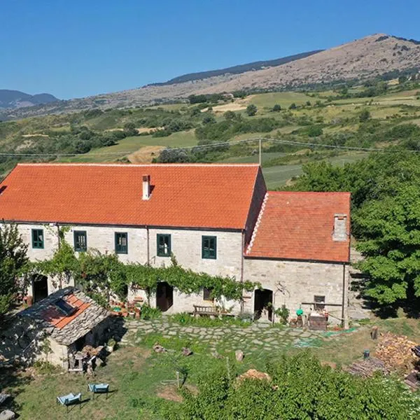 Suite Chevalier Claudio，位于阿尼奥内的酒店