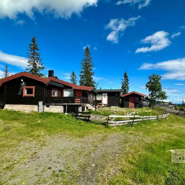 Rustic cabin on Lake Sjusjøen with a lovely view，位于Ringsaker的酒店