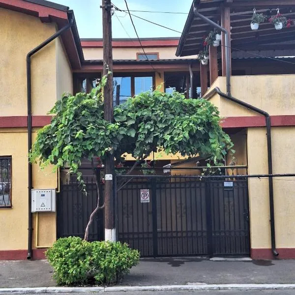 Vila Trandafir，位于康斯坦察的酒店