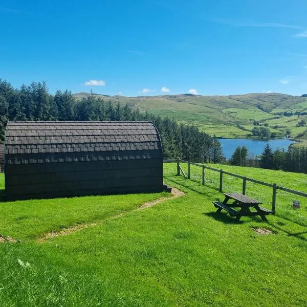 Forester's Retreat Glamping - Cambrian Mountains View，位于Trefeglwys的酒店