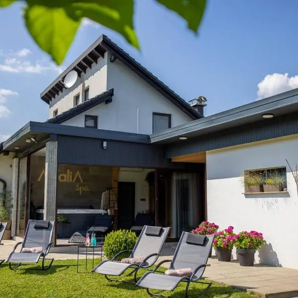 Holiday Home AdaliA，位于Štrigova的酒店