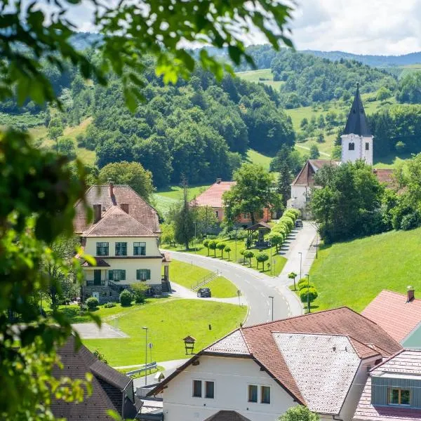 维拉驰科旅馆，位于Zgornja Kapla的酒店