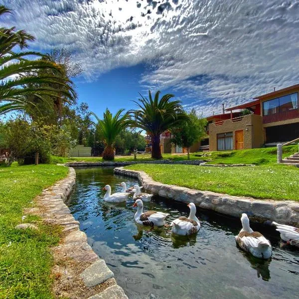 Hotel Naturaleza Vertientes de Elqui，位于Almendral的酒店