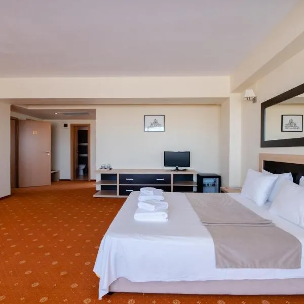 Hotel Oxford By TimHotels，位于蒂米什瓦拉的酒店