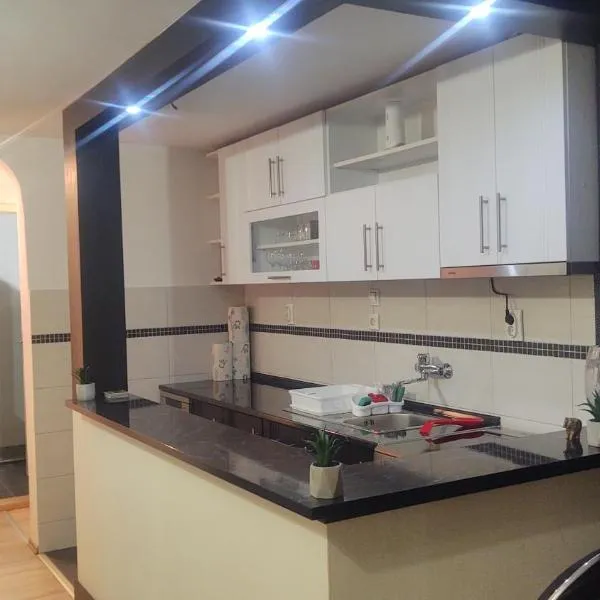 Apartman BIG Novi Sad，位于诺维萨德的酒店