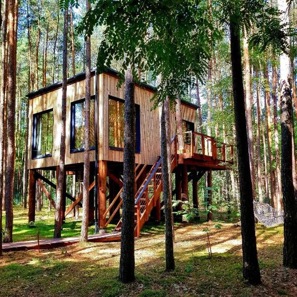 Tree Houses Olszanka，位于Puszcza Mariańska的酒店
