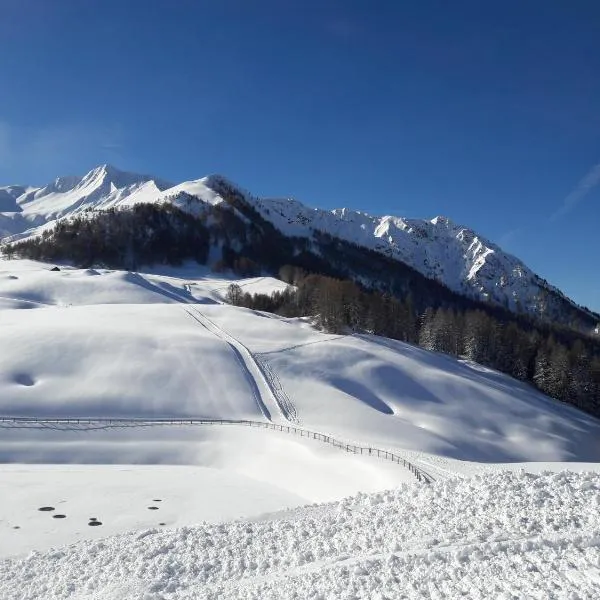 PLAGNE-SOLEIL Pied des pistes，位于La Plagne Tarentaise的酒店