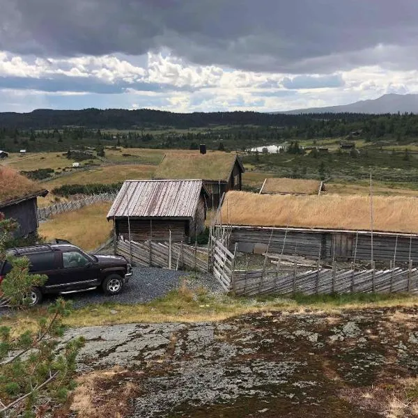 Hytte på idyllisk seter，位于哈山的酒店