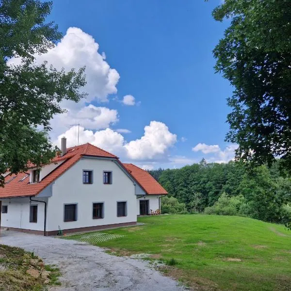 Ubytování U Bohouše，位于Bořetín的酒店