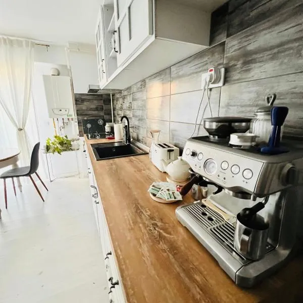 The Airport Loft，位于奥托佩尼的酒店