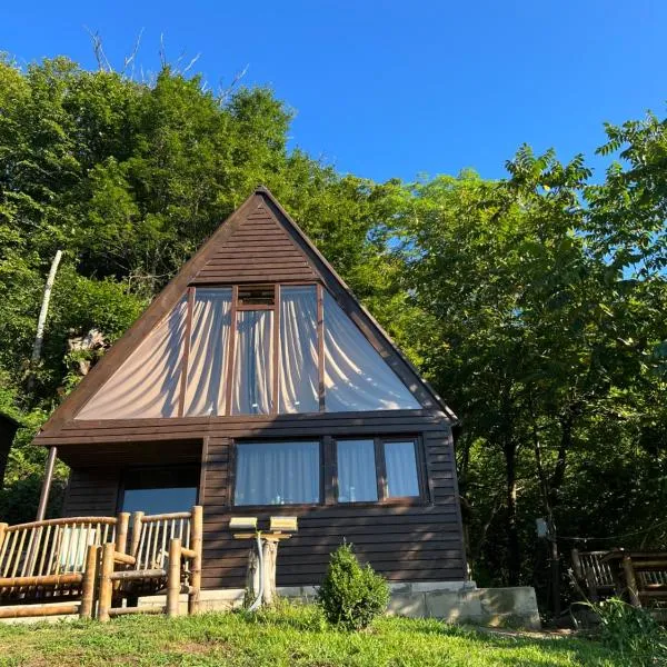 Mtirala Skhivi Cottage，位于巴统的酒店