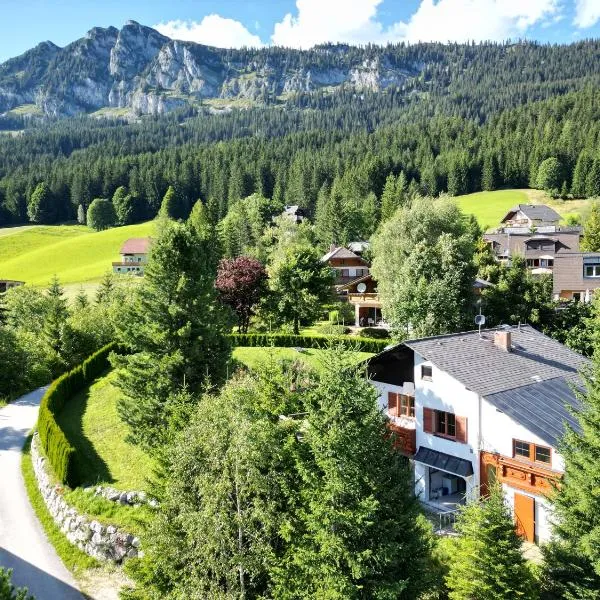 Haus Grimmingblick，位于Zlem的酒店