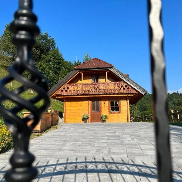 Hiška Erika - Wood House Erika，位于Črna na Koroškem的酒店