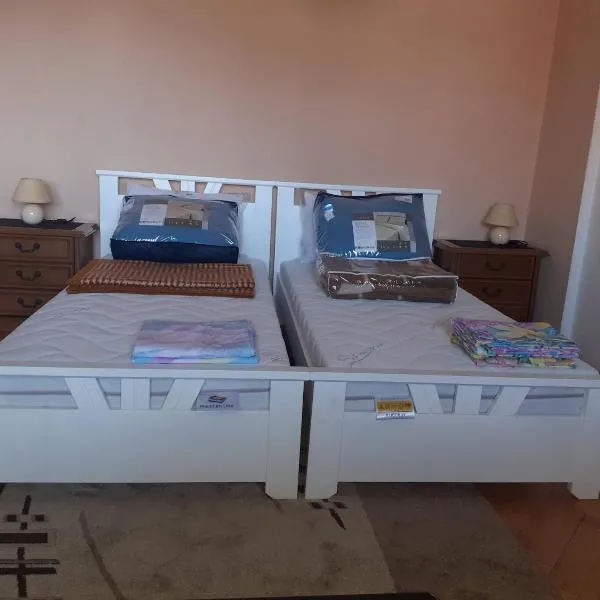 NIKOLIĆ APARTMAN，位于弗拉涅的酒店