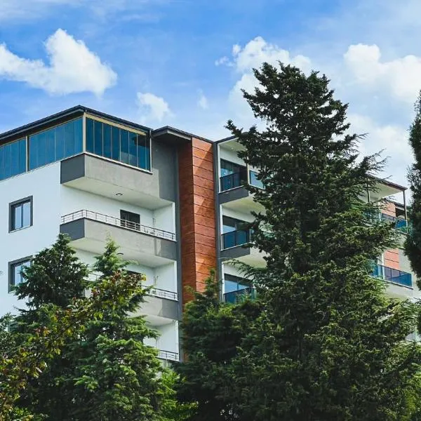 Next Suite，位于特拉布宗的酒店