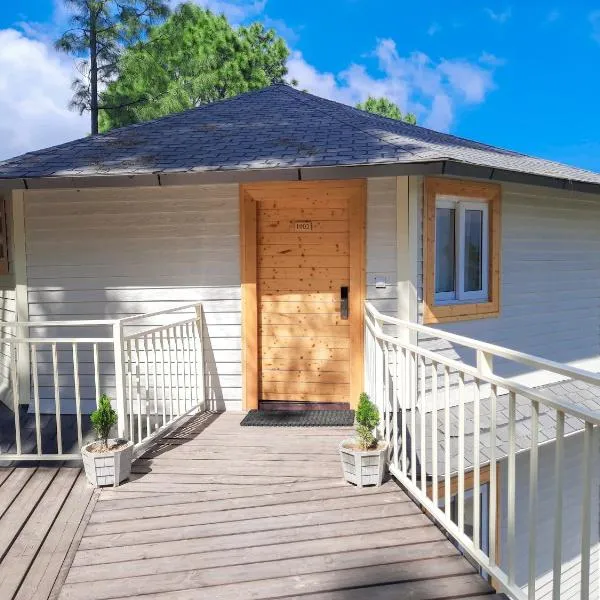 The Woods Retreat，位于兰斯顿的酒店