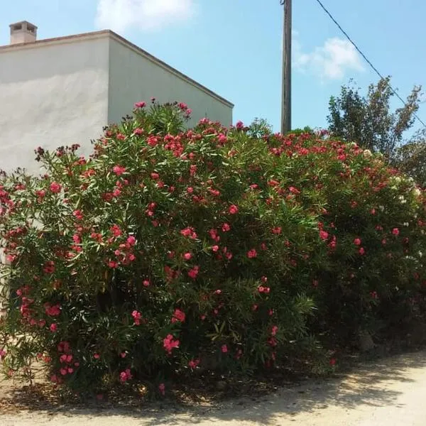 Pequeña casa rural en el centro del Delta del Ebro，位于Els Muntells的酒店