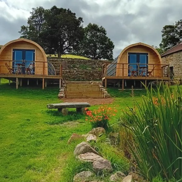 Coombs glamping pods，位于Westerdale的酒店