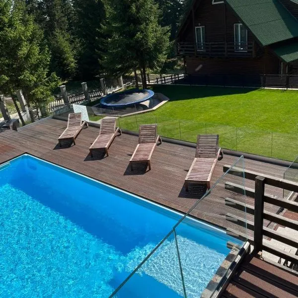 Transylvania Villa & Spa，位于穆恩特勒白索利的酒店