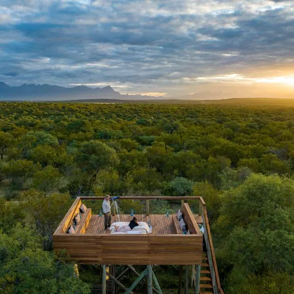 Oase by 7 Star Lodges - Greater Kruger Private 530ha Reserve，位于巴卢莱自然保护区的酒店