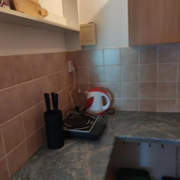 ubytování v zastávce，位于Horka u Staré Paky的酒店