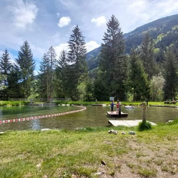 Stilvolle Wohnung mit traumhaftem Bergblick，位于迪森蒂斯的酒店
