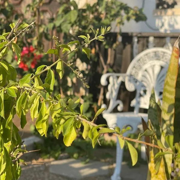 Nina's Stay Hostel，位于沙尔内卡的酒店