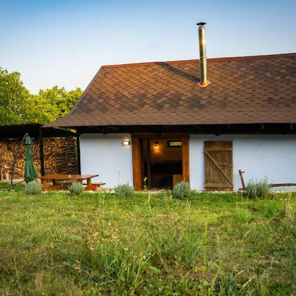 Open View Place The Old Barn，位于Pângărăcior的酒店