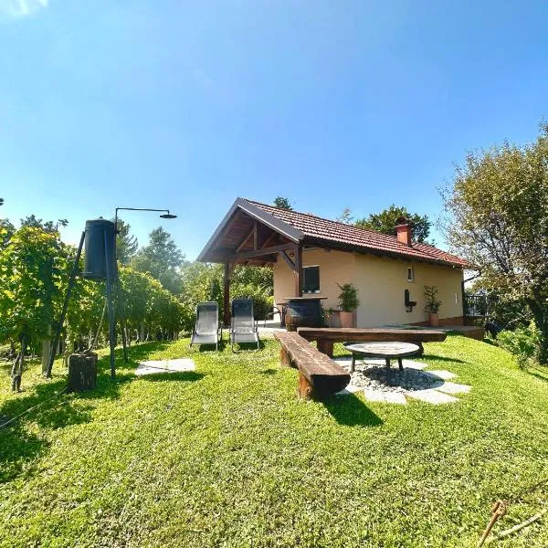Holiday House Tomajna，位于Podlehnik的酒店