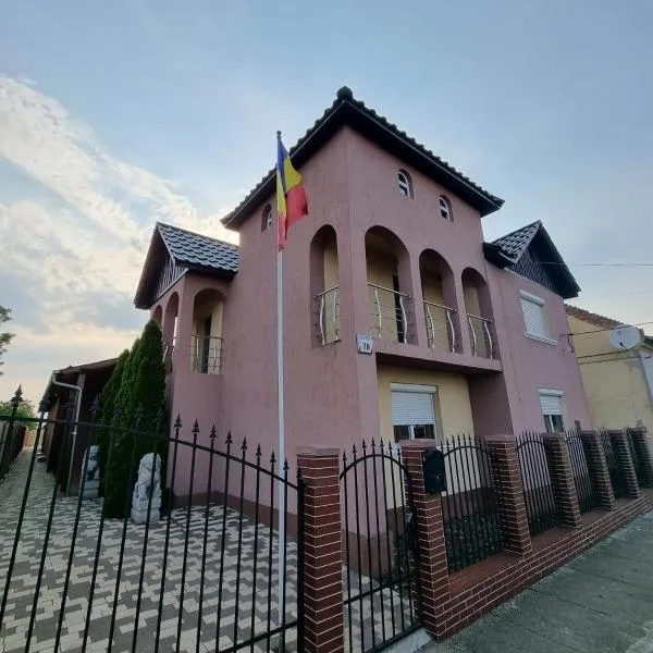Parnica Home 3，位于Dudeştii Noi的酒店