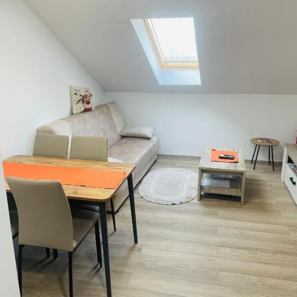 Apartman Jela Srebrno jezero，位于Ostrovo的酒店