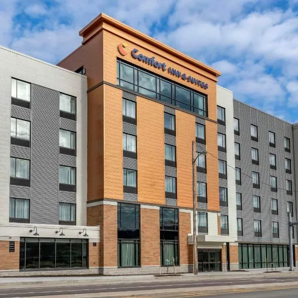 Comfort Inn & Suites Pittsburgh-Northshore，位于匹兹堡的酒店